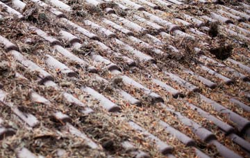 Kinloch roof cleaning companies